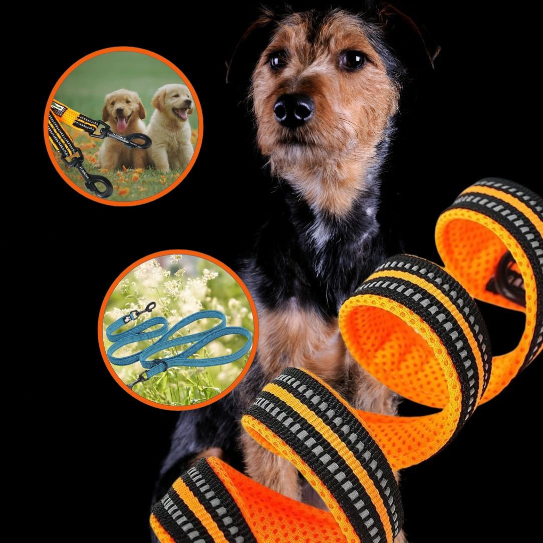 Laisse pour chien | Truelove FreeStride - Annie - Mo