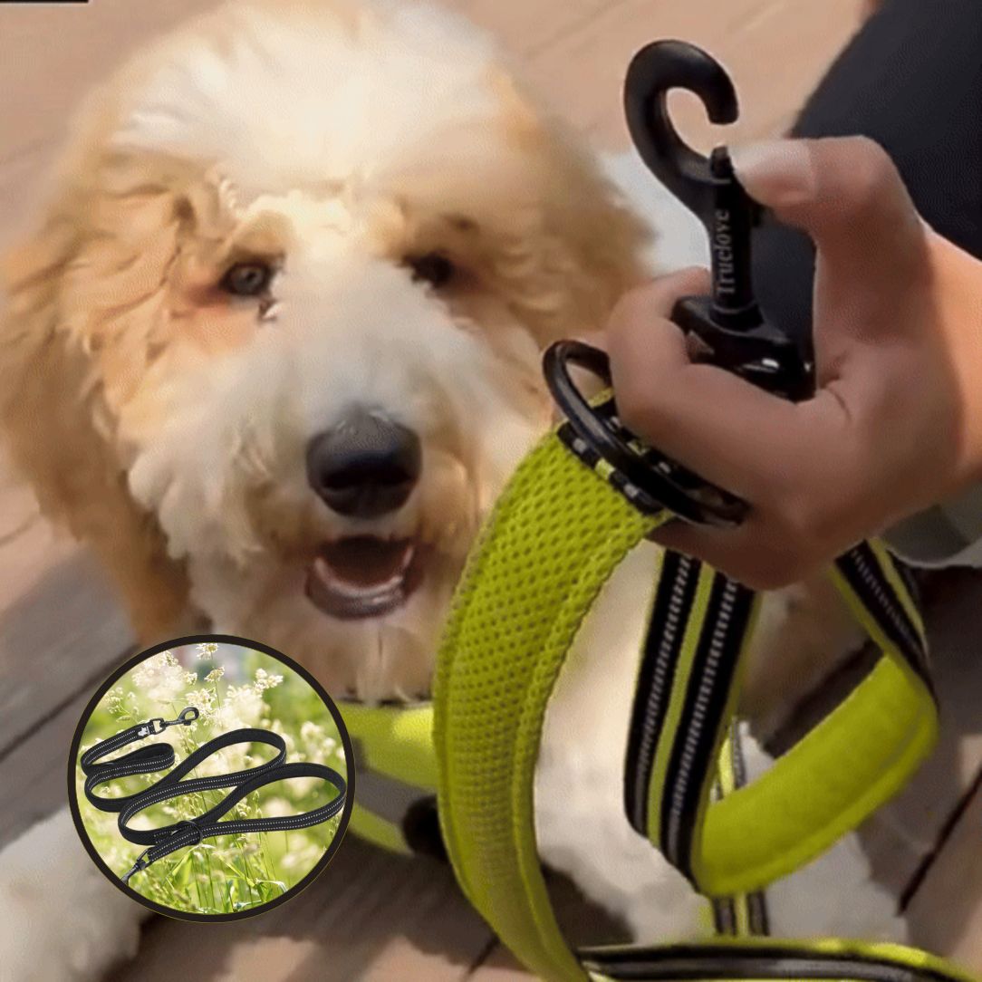 Laisse pour chien | Truelove FreeStride - Annie - Mo