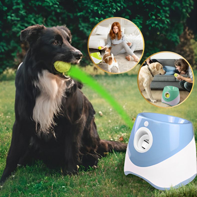 lanceur de balle pour chien avec plaisir assuré