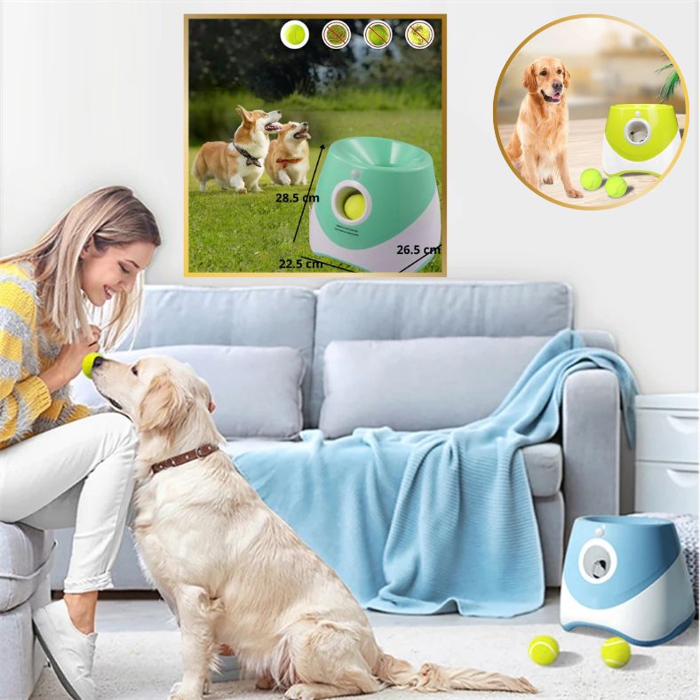 lanceur de balle pour chien et moments de complicité