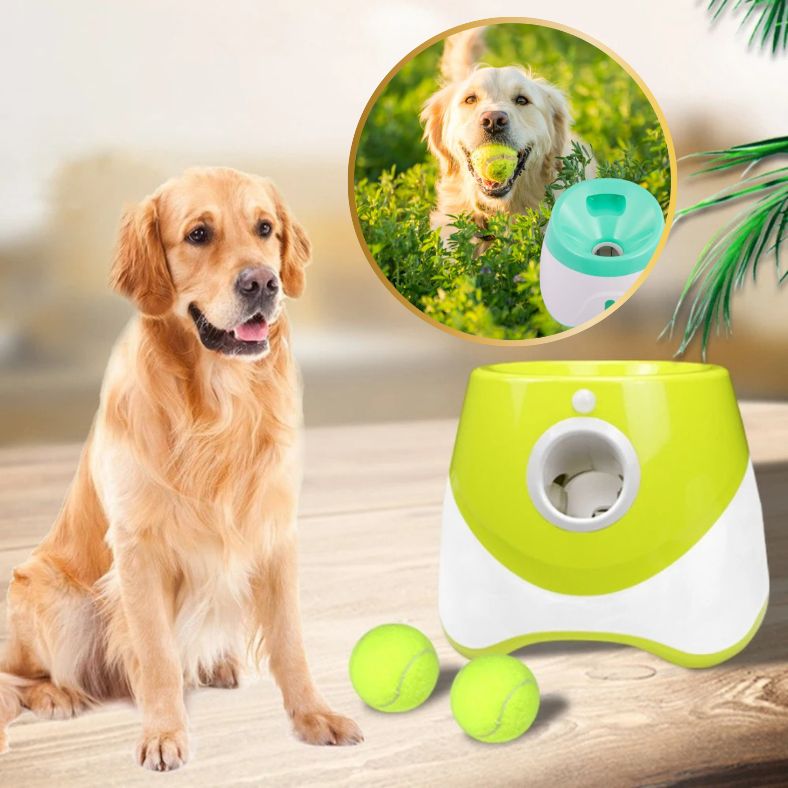 lanceur de balle pour chien offrant plaisir sans fin