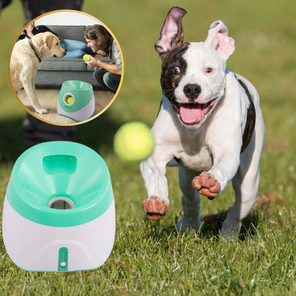 lanceur de balle pour chien pour activités rassurantes