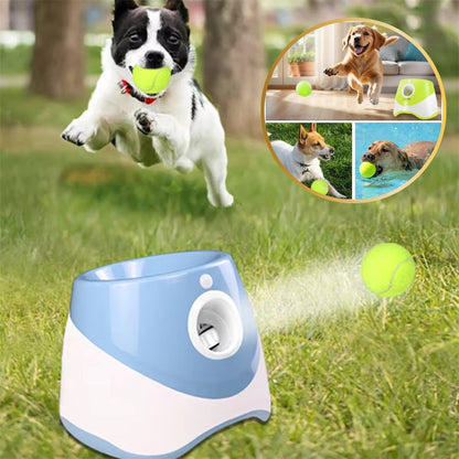 lanceur de balle pour chien qui suscite l excitation