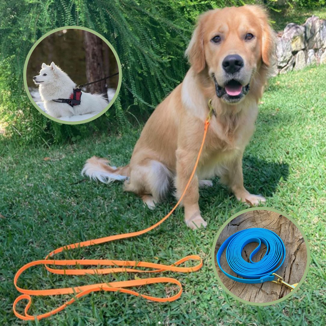 Longe pour chien | StrongPaw™ - Annie - Mo