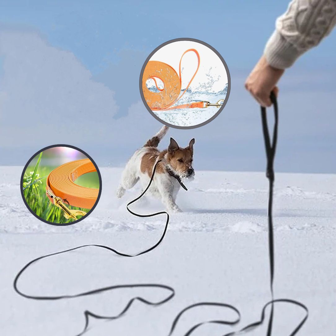 Longe pour chien | StrongPaw™ - Annie - Mo