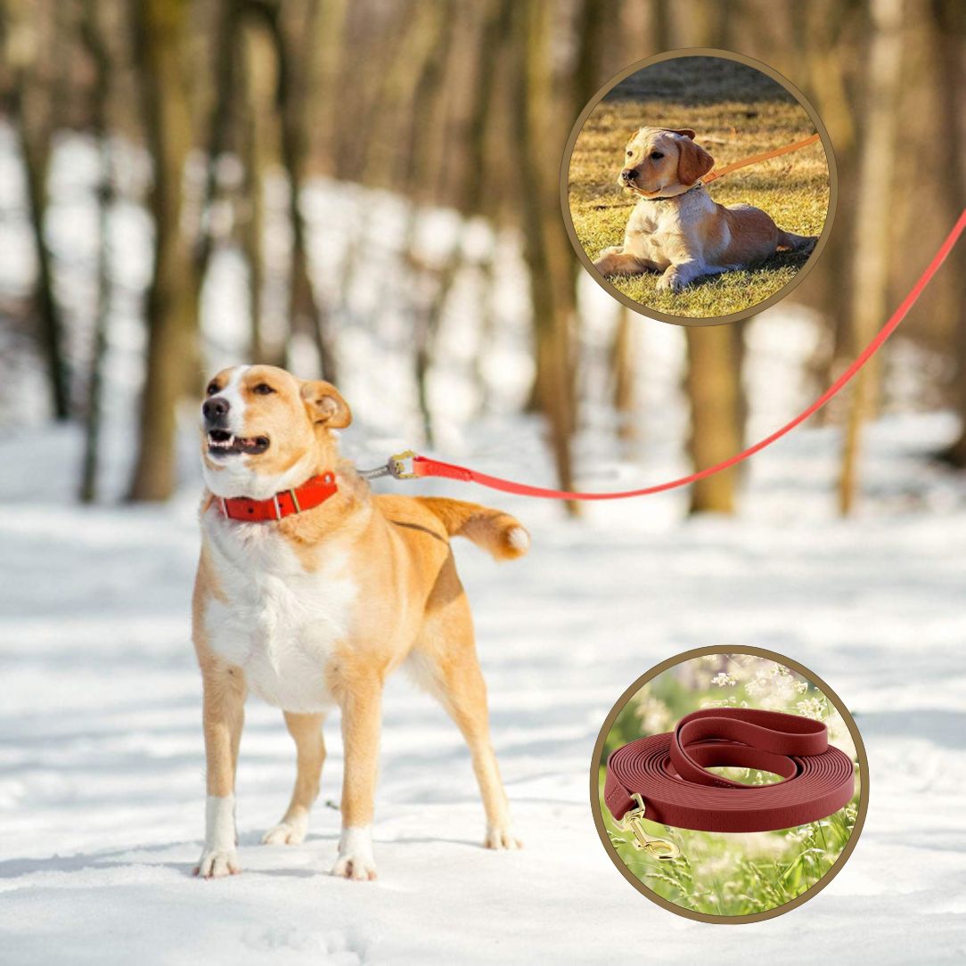 Longe pour chien | StrongPaw™ - Annie - Mo