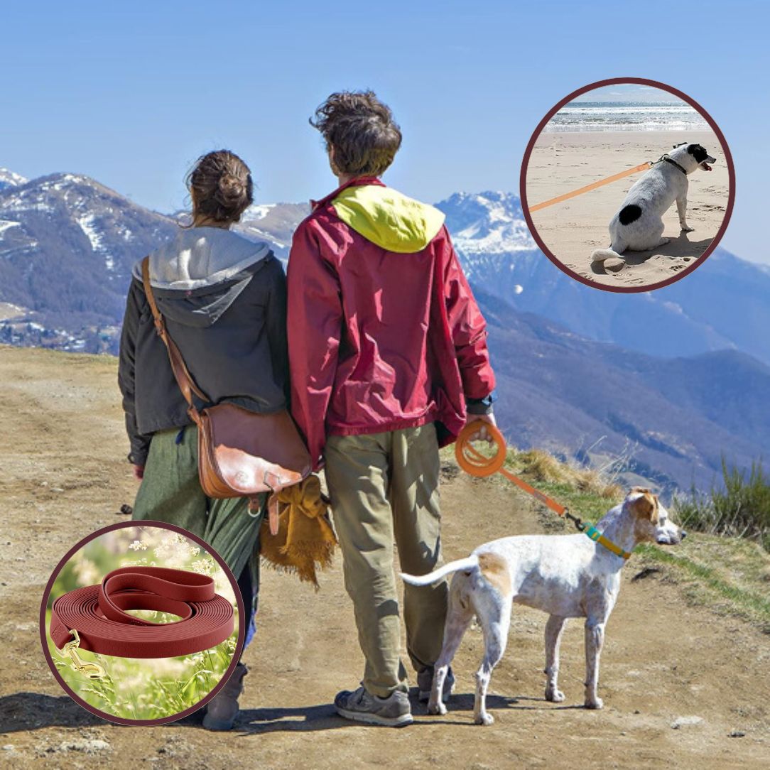 Longe pour chien | StrongPaw™ - Annie - Mo