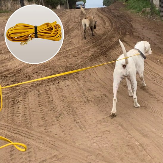 Longe pour chien | TrackTail™ - Annie - Mo