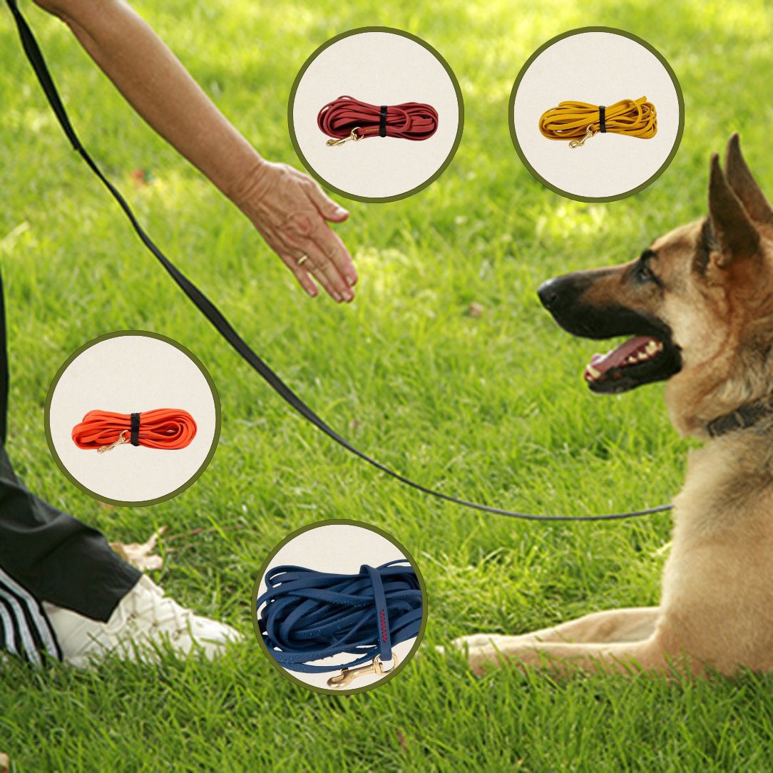Longe pour chien | TrackTail™ - Annie - Mo