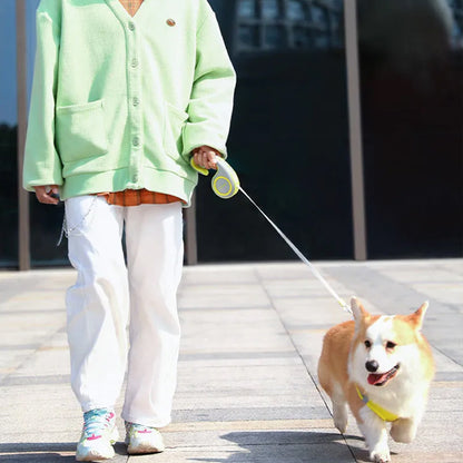 Maître en marche avec laisse pour chien enrouleur robuste et durabl