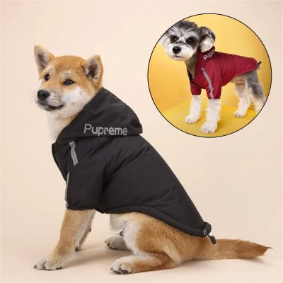 Manteau chien disponible en plusieurs tailles et couleurs