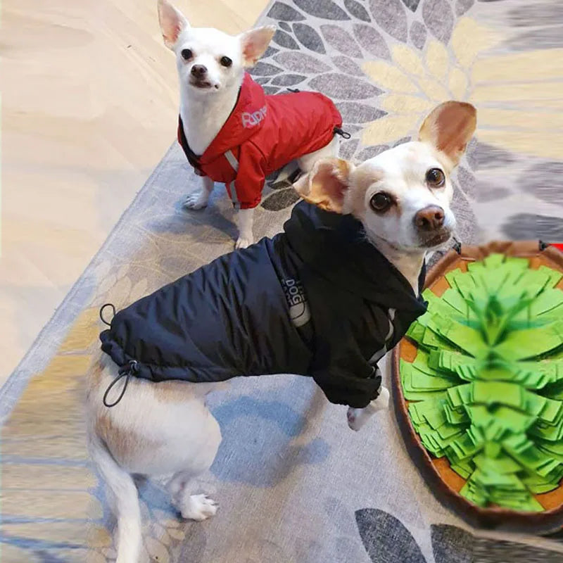Manteau chien doublé coton pour confort hivernal