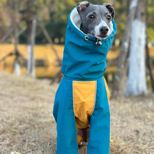 manteau pour chien col haut protege efficacement du vent froid