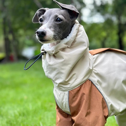 Manteau pour chien col haut protège du vent froid et neige.
