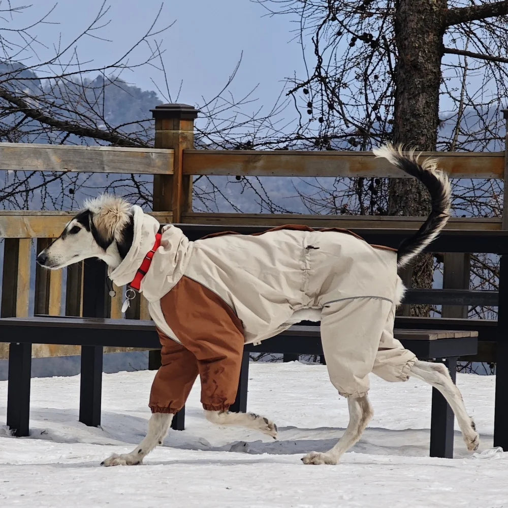 Manteau pour chien imperméable gardant votre compagnon au chaud durant l’hiver.