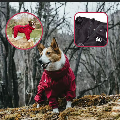 Manteau pour chien imperméable restant sec pendant une balade pluvieuse