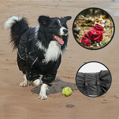 Manteau pour chien jouant avec sa balle par temps pluvieux