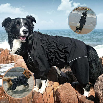 Manteau pour chien noir en train de jouer dans la mer