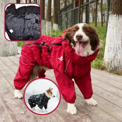 Manteau pour chien pour protéger du vent et de la pluie