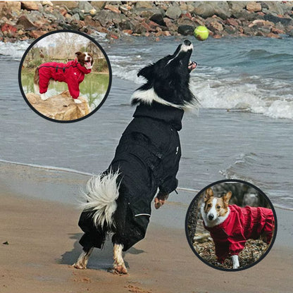 
Manteau pour chien pour un chien actif qui aime jouer sous la pluie
