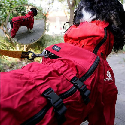 Manteau pour chien rouge pendant une promenade sous la pluie