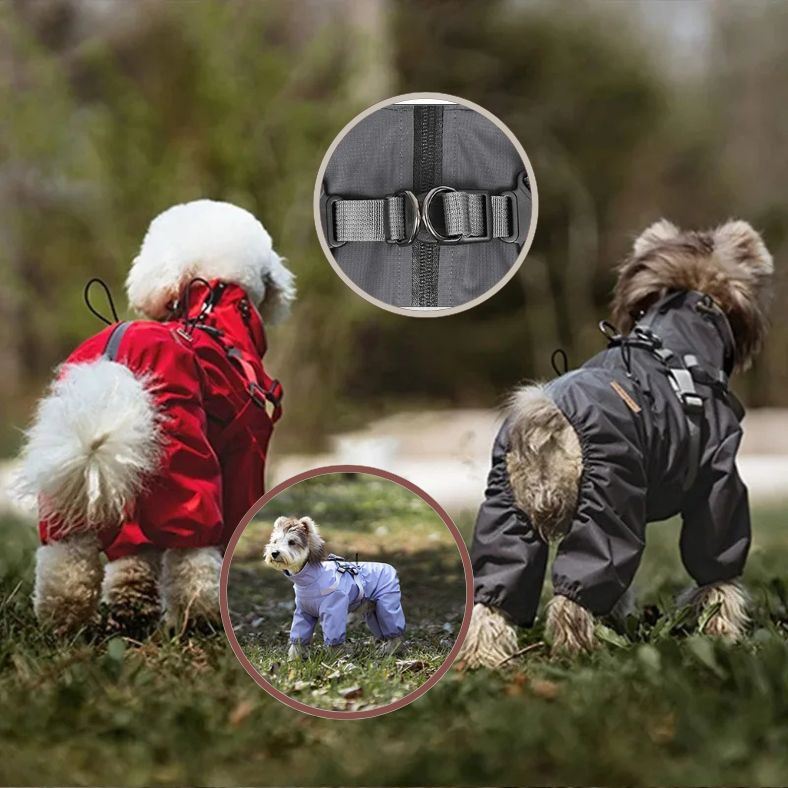Manteau pour petit chien facile à enfiler avec fermeture éclair
