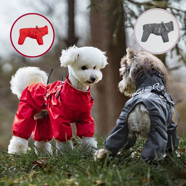 Manteau pour petit chien imperméable en marche