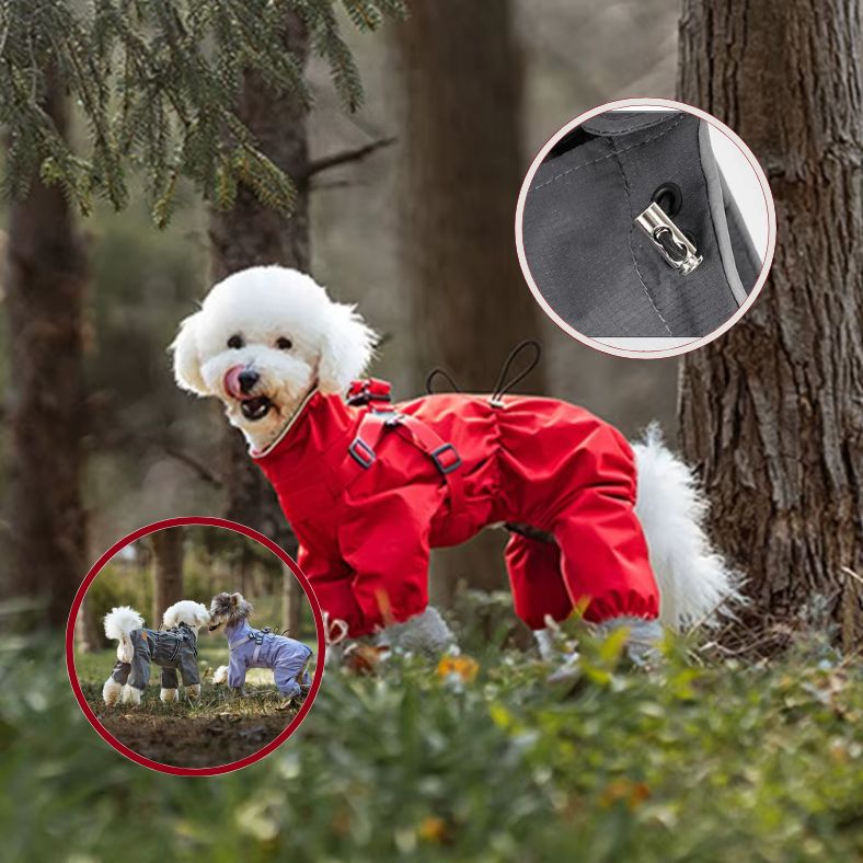 Manteau pour petit chien rouge protège de la pluie