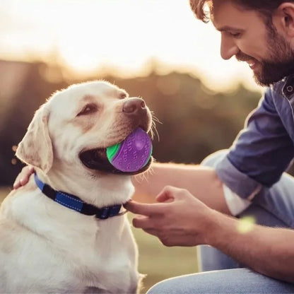 Moment complice entre un maître et son chien avec une balle pour chien