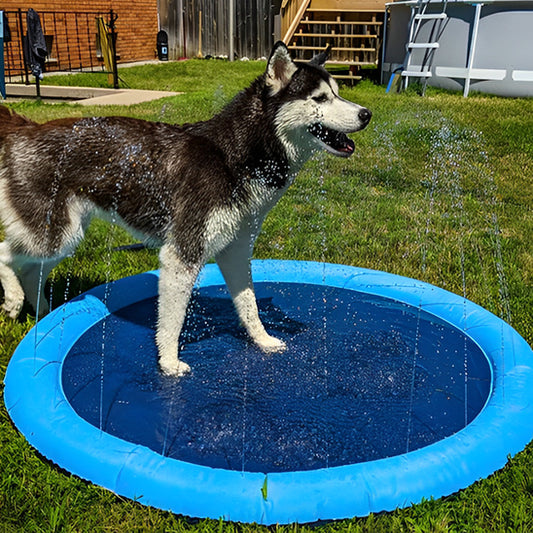 piscine pour chien avec fontaine pour jeu interactif