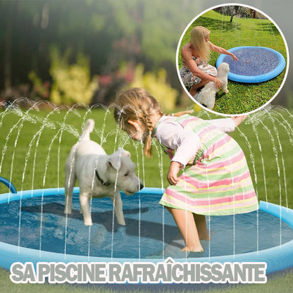 piscine pour chien ideale pour jeux d eau en famille