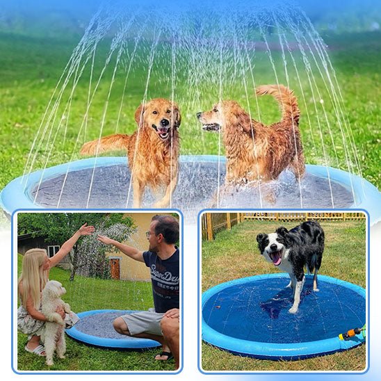 Piscine pour chien | PawSplashZone™ - Annie - Mo