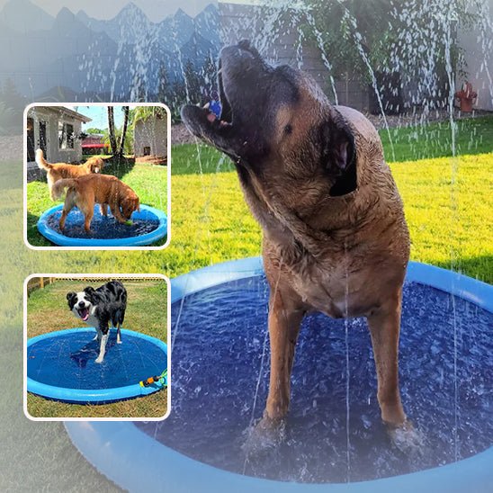 Piscine pour chien | PawSplashZone™ - Annie - Mo