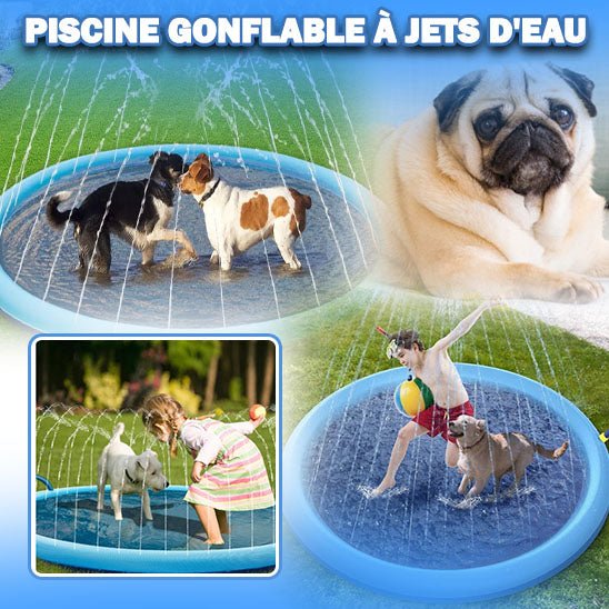 Piscine pour chien | PawSplashZone™ - Annie - Mo