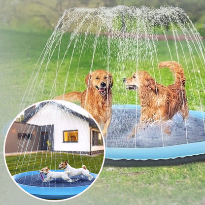 piscine pour chien stimulant et divertissant