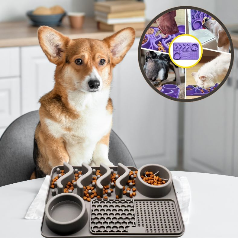 Tapis de léchage chien avec ventouses pour occuper un chien anxieux