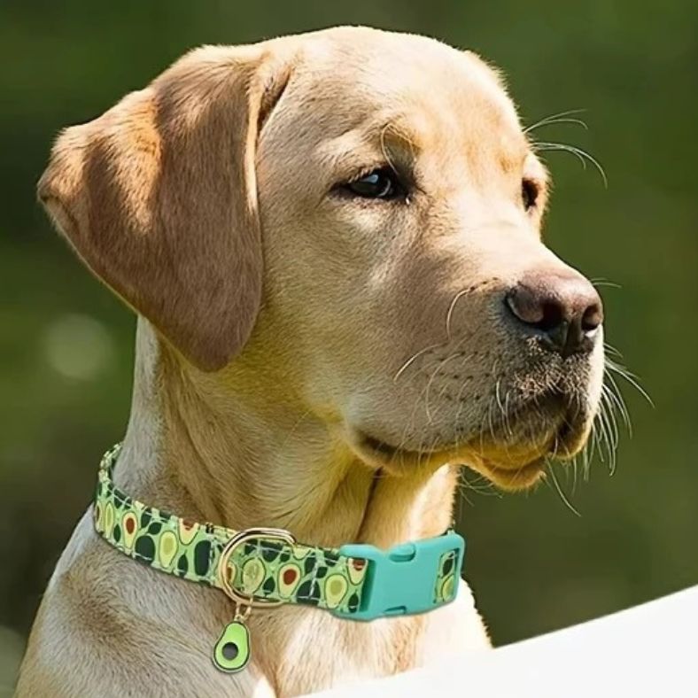  Zoom sur collier chien en coton avec pendentif fruit élégant