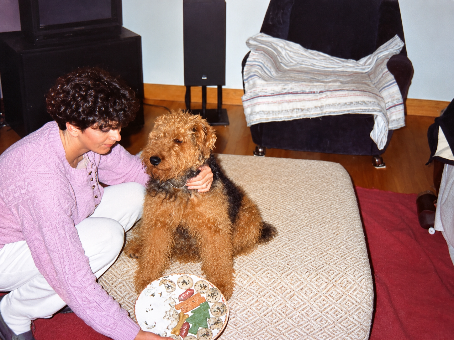 Choisir son chien : une décision qui ne devrait jamais appartenir à quelqu&rsquo;un d&rsquo;autre