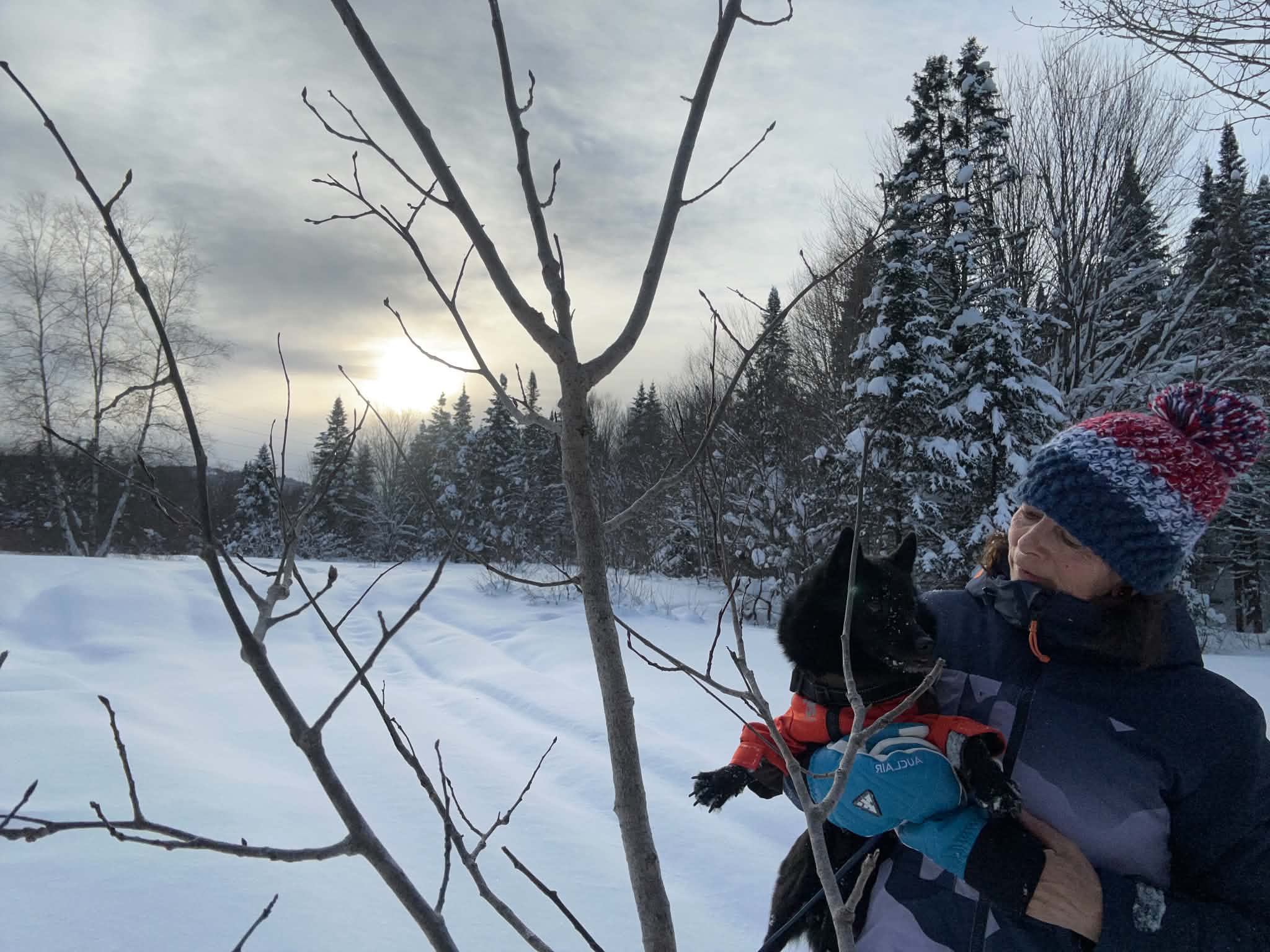 Pourquoi marcher avec son chien est essentiel pour sa santé et son bien-être